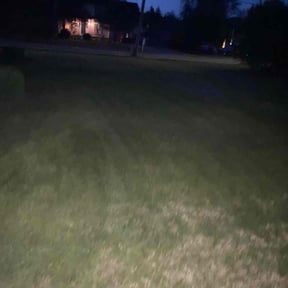 Bush Trimming by Neighborhood Mow & Go LLC reviewed on August 21, 2025