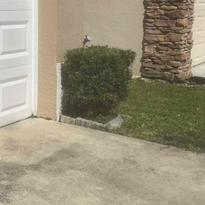 Bush Trimming by KCT Landscaping reviewed on August 14, 2025