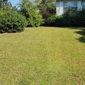 yard service by Wilson Trim Art &amp; Much More LLC reviewed on December 10, 2025