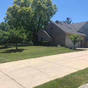yard work by BetterView Landscaping & Home Maintenance reviewed on August 15, 2025