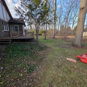 Leaf Removal by Doublerlawncare reviewed on April 10, 2026