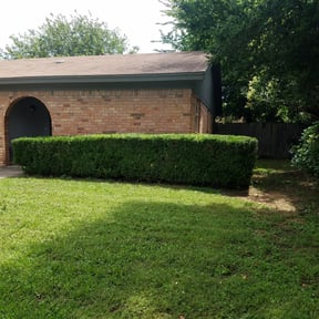 Bush Trimming by Var Landscape reviewed on August 16, 2025