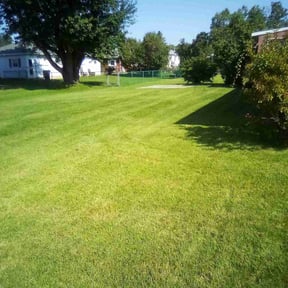 turf maintenance by A.C lawn care reviewed on August 14, 2024
