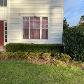 Bush Trimming by PryorProLawn reviewed on April 23, 2024