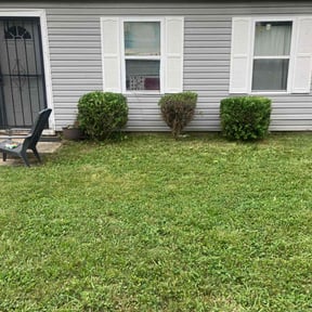 Bush Trimming by Alpha Property Services reviewed on August 19, 2025