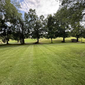 landscaping by All works llc reviewed on November 23, 2025