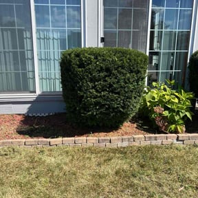 Bush Trimming by Cardinal lawn care and maintenance LLC reviewed on October 20, 2025