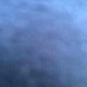 Bush Trimming by JTRS Landscaping, LLC reviewed on January 22, 2026