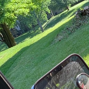 Bush Trimming by Campos landscaping Svs reviewed on August 17, 2025