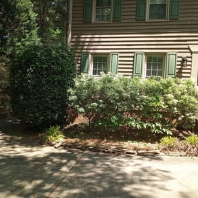 Bush Trimming by Smokey's Lawn Service LLC reviewed on August 16, 2025