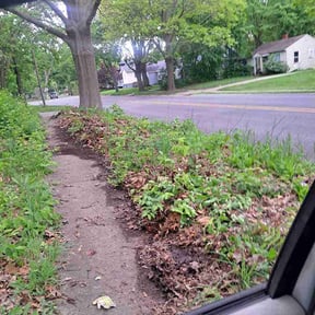 Bush Trimming by Yard reviewed on May 13, 2026