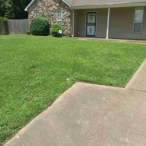 landscaping services by The Williams reviewed on August 18, 2025