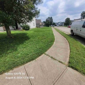 lawn care services by Gurrola Lawn Care reviewed on April 26, 2024