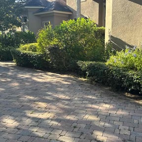 Bush Trimming by K V Lawncare reviewed on August 21, 2025