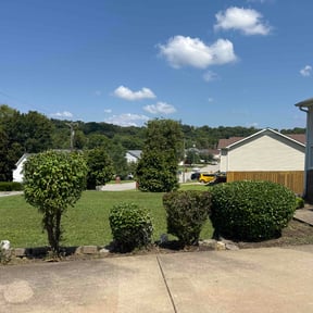 Garden Maintenance by Blue Diamond Cleaning Services reviewed on August 20, 2025