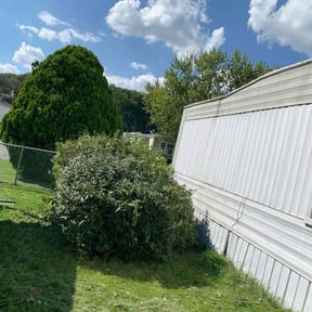 Bush Trimming by Morales lawn inc reviewed on December 15, 2025