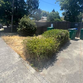 Bush Trimming by ShiftChange LLC Lawn Service reviewed on November 26, 2021