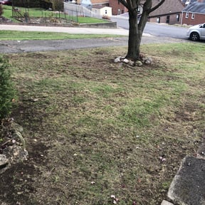 Leaf Removal by Cat&#039;s Landscaping reviewed on September 28, 2025