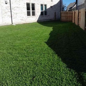 lawn care services by Chavez Landscaping reviewed on June 24, 2025