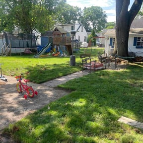 turf maintenance by Clear Cut Lawn and Landscape reviewed on May 21, 2019