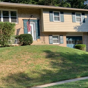 Bush Trimming by A & B Premier Lawncare reviewed on August 19, 2025