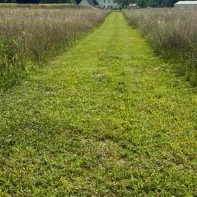 turf care by Dunn&#039;s Lawn Services reviewed on April 5, 2024