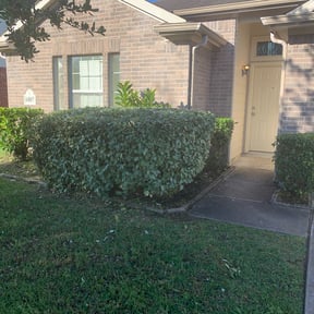 Bush Trimming by Dbs landscaping and lawn care reviewed on August 17, 2025