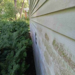 Bush Trimming by Supreme Home Services reviewed on August 18, 2025