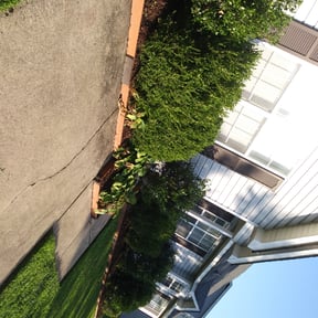 Bush Trimming by LoneStar Mow Pros reviewed on August 19, 2025