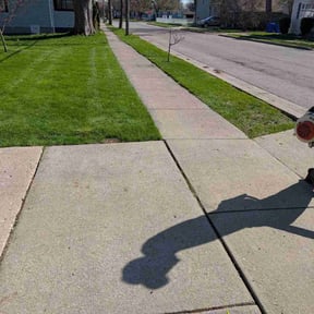 lawn care by Nts AOS (All Outdoor Services) reviewed on September 18, 2023