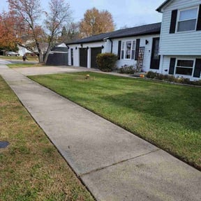 Leaf Removal by Torres Lawn Care reviewed on August 21, 2025
