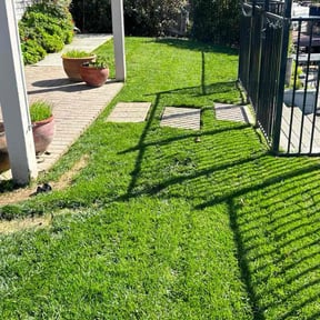 gardening service by Rodriguez Gardening reviewed on November 25, 2025