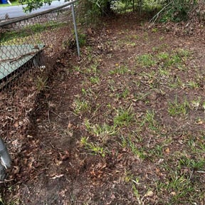 Leaf Removal by doable llc reviewed on September 12, 2025