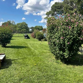 gardening service by Sustainable Lawn Care of Ohio reviewed on August 15, 2025