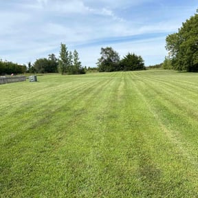 landscaping by Fisher Lawn Care reviewed on December 24, 2025