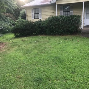 Bush Trimming by Hedge Hoggard Landscaping reviewed on August 20, 2025