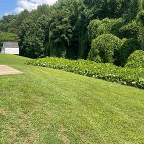 landscaping by A Cut Above Lawn Care reviewed on August 19, 2025