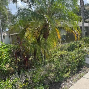 Bush Trimming by Everything Gregory Llc  reviewed on April 14, 2024