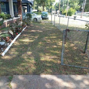 Bush Trimming by The Lawnmower Man reviewed on May 15, 2024