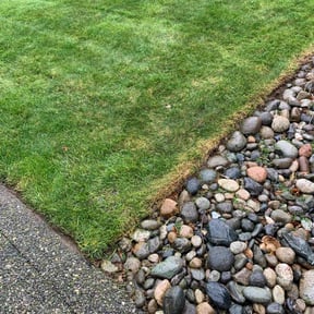 turf care by Pristine Properties LHS reviewed on November 26, 2024