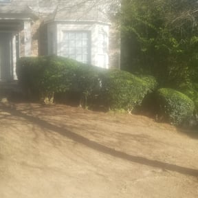 Bush Trimming by Fraire Lawn Care reviewed on November 19, 2025