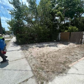 Bush Trimming by Greg's lawns reviewed on August 20, 2025