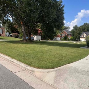 landscaping services by Allen Investments reviewed on November 21, 2025