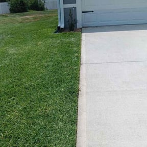 landscaping by The Eighth Dimension, A.I.E reviewed on November 24, 2025