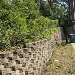 Bush Trimming by Eco edging landscaping reviewed on August 21, 2025