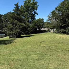 grass cutting by Affordable Lawn Care reviewed on April 10, 2024