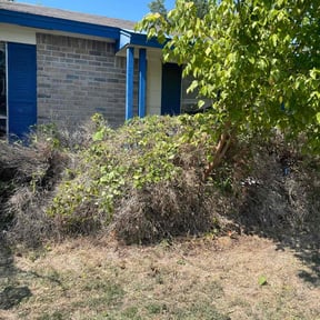 Bush Trimming by Stans lawn care reviewed on August 16, 2025