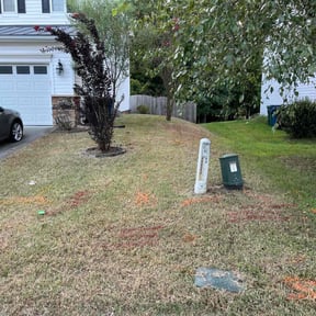 Bush Trimming by Toms Yard Care reviewed on August 18, 2025