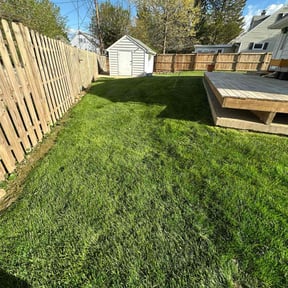 landscaping services by Rodriguez Lawn Care LLC reviewed on August 20, 2025