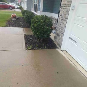 Bush Trimming by Y&amp;R reviewed on May 13, 2025